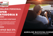 Agroline Bucovina angajează șofer categoria B