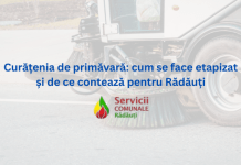 Curățenia de primăvară: cum se face etapizat și de ce contează pentru Rădăuți