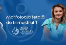 Morfologia fetală de trimestrul 1: detalii despre investigația ecografică (săptămânile 11–13 de sarcină)