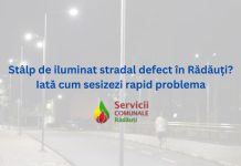 Stâlp de iluminat stradal defect în Rădăuți? Iată cum sesizezi rapid problema