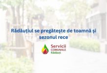 Rădăuțiul se pregătește de toamnă și sezonul rece