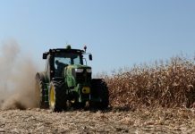 Cerealele românești, lăsate pe linie moartă, agricultorii, trimiși spre faliment