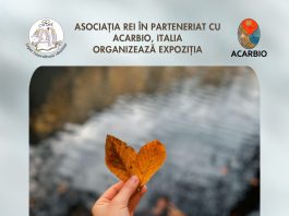 ,,Rădăcini bucovinene, perspective europene”- o expoziție de fotografie inspirată de natură, tineri și de experiențele Erasmus+