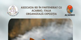 ,,Rădăcini bucovinene, perspective europene”- o expoziție de fotografie inspirată de natură, tineri și de experiențele Erasmus+